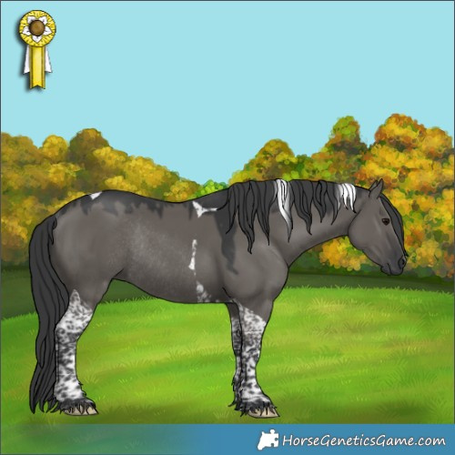 Horse Color:Grullo Tobiano Rabicano 