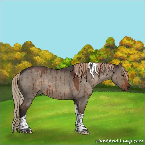 Horse Color:Liver Red Dun Roan Tobiano Rabicano Brindle 