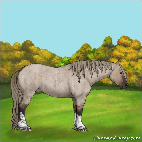 Horse Color:Liver Red Dun Roan Tobiano Rabicano Brindle 