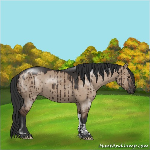 Horse Color:Liver Red Dun Tobiano Rabicano Brindle 