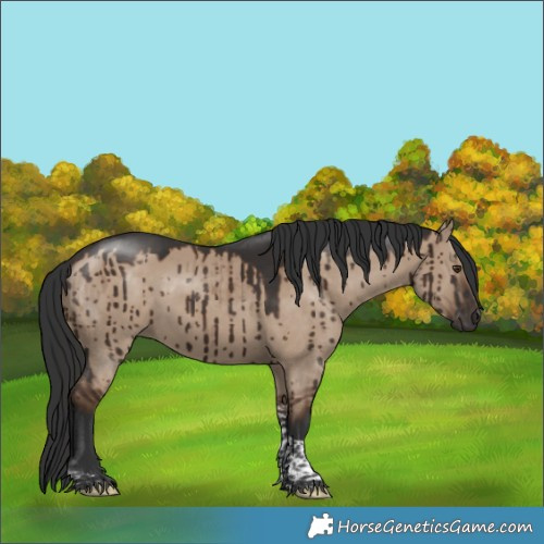 Horse Color:Liver Red Dun Tobiano Rabicano Brindle 