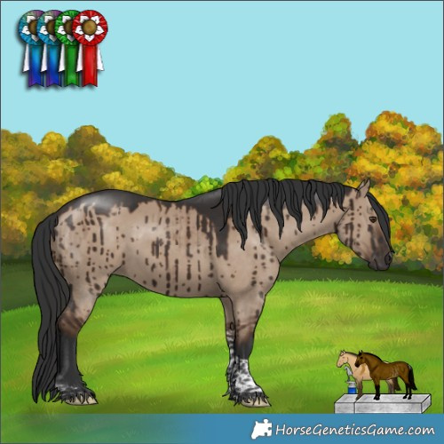 Horse Color:Liver Red Dun Tobiano Rabicano Brindle 