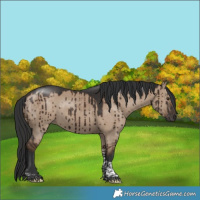 Horse Color:Liver Red Dun Tobiano Rabicano Brindle 