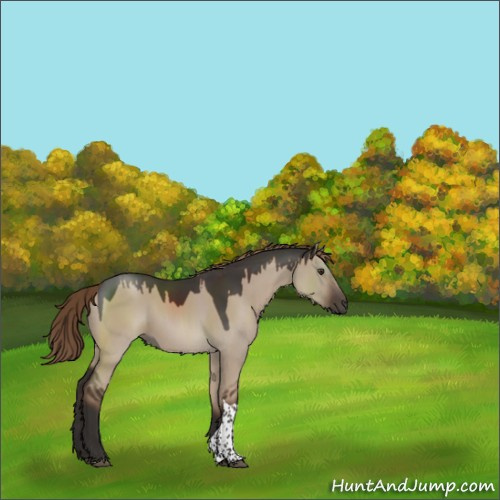 Horse Color:Liver Red Dun Tobiano Rabicano 