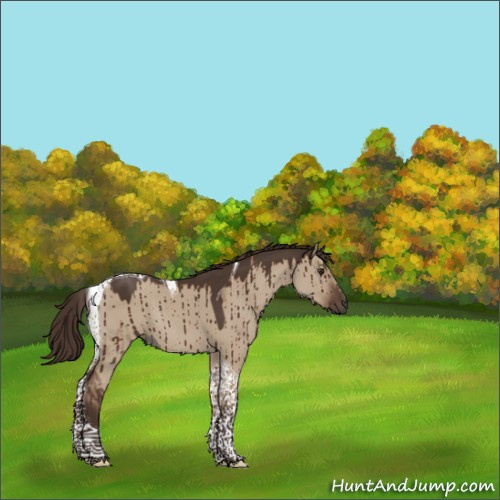 Horse Color:Liver Red Dun Tobiano Rabicano Brindle 