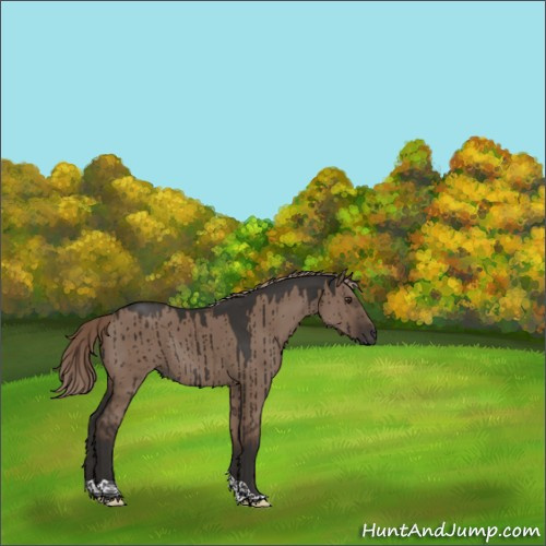 Horse Color:Liver Red Dun Tobiano Rabicano Brindle 