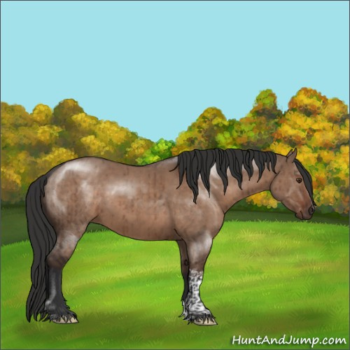 Horse Color:Liver Red Dun Tobiano Rabicano Brindle 