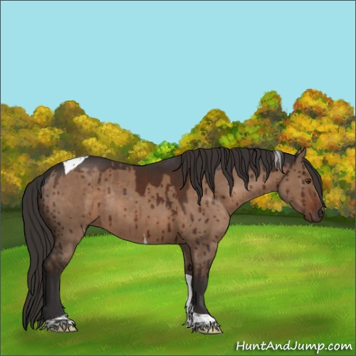Horse Color:Liver Red Dun Tobiano Rabicano Brindle 