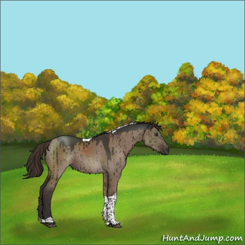 Horse Color:Liver Red Dun Tobiano Rabicano Brindle 