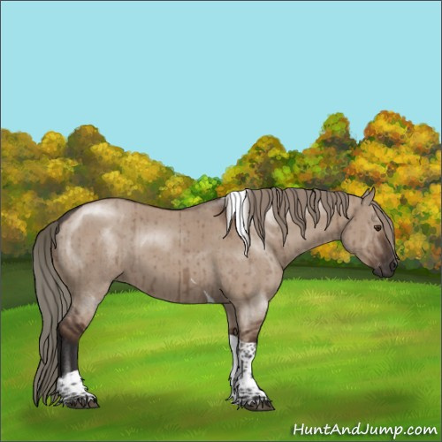 Horse Color:Liver Red Dun Tobiano Rabicano Brindle 