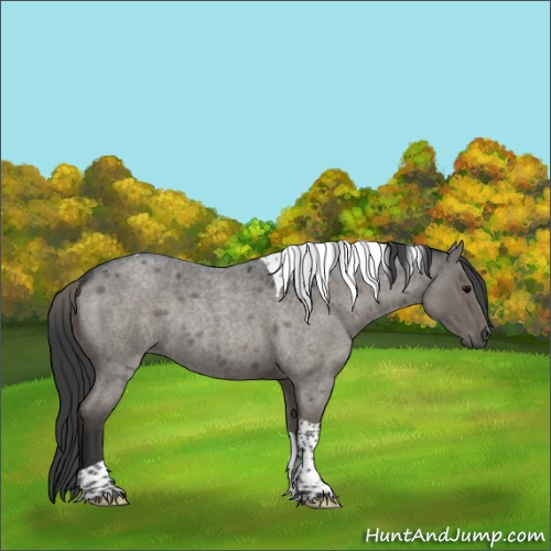 Horse Color:Grullo Roan Tobiano Rabicano Brindle 