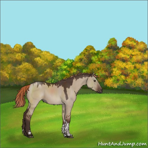 Horse Color:Liver Red Dun Tobiano Rabicano 