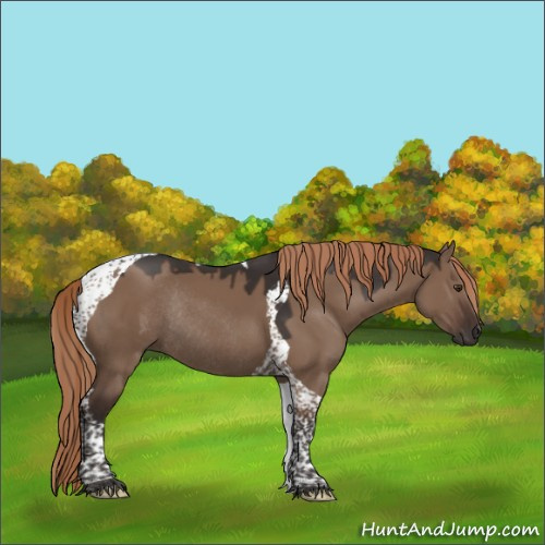 Horse Color:Liver Red Dun Tobiano Rabicano 