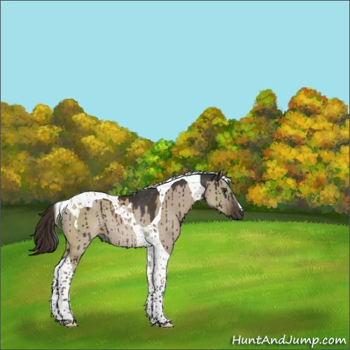 Horse Color:Liver Red Dun Tobiano Rabicano Brindle 
