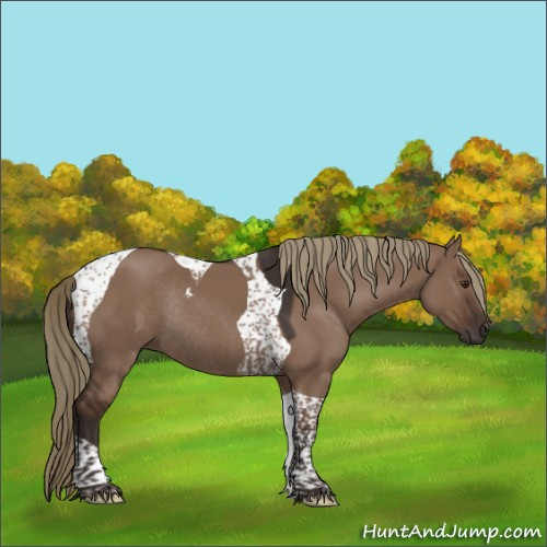Horse Color:Liver Red Dun Tobiano Rabicano 
