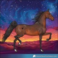Horse Color:Brown 