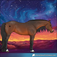 Horse Color:Brown 