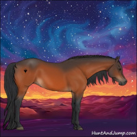 Horse Color:Brown 