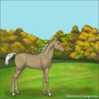 Horse Color:Silver Smoky Black 