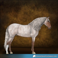 Horse Color:Silver Blue Roan 