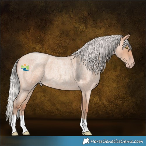 Horse Color:Silver Sable Champagne Roan 
