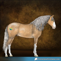 Horse Color:Silver Sable Cream Champagne 