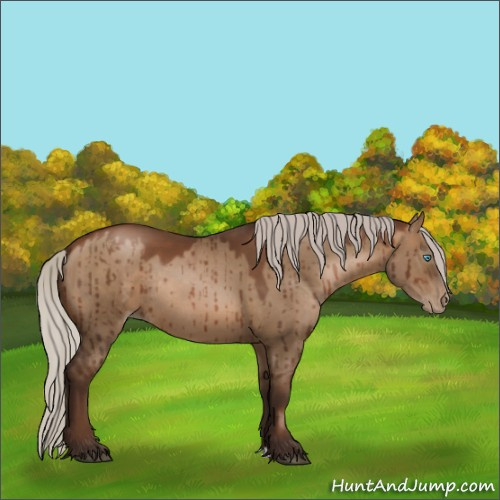 Horse Color:Gray Silver Grullo Pearl Rabicano Brindle 