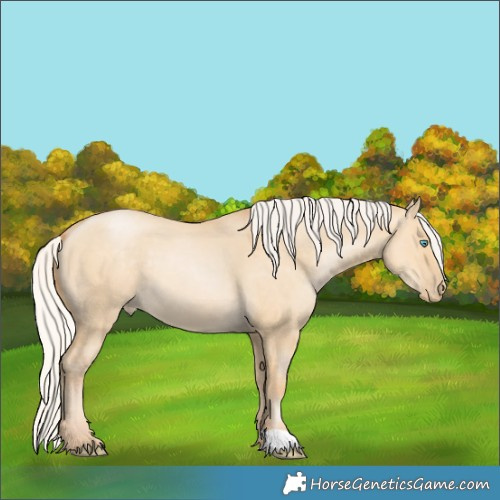 Horse Color:Silver Smoky Grullo Pearl 