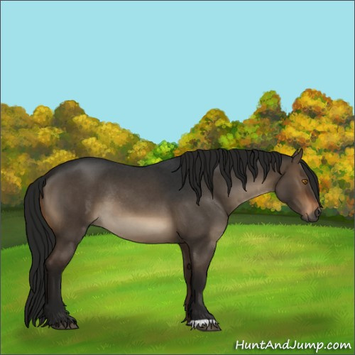 Horse Color:Gray Brown Roan Dun Rabicano 