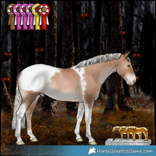 Horse Color:Silver Black Pearl Tobiano Appaloosa Rabicano 