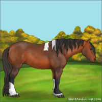 Horse Color:Bay Tobiano Rabicano 