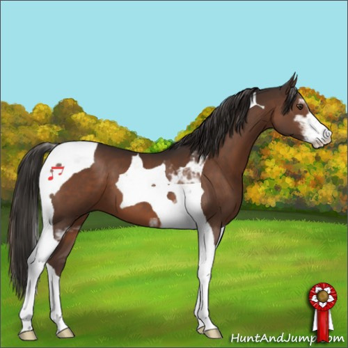 Horse Color:Liver Chestnut Sabino Tobiano 