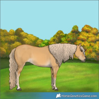 Horse Color:Palomino Dun