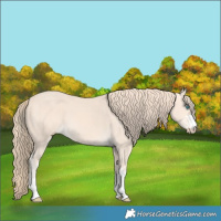 Horse Color:Perlino 