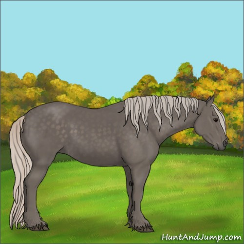 Horse Color:Silver Black 