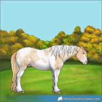 Horse Color:Chestnut Ice Pearl Tobiano Frame 
