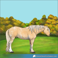 Horse Color:Palomino Ice Tobiano 