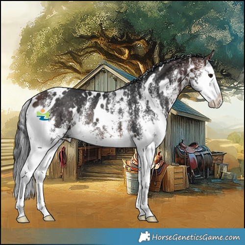 Horse Color:White Spotted Brown Splash Rabicano 