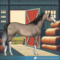 Horse Color:Brown Dun Splash Rabicano