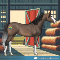 Horse Color:Brown Dun Splash Rabicano 