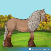 Horse Color:Red Dun 