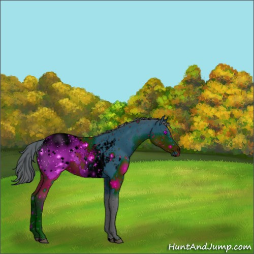 Horse Color:ERROR: UNKNOWN ANOMALY