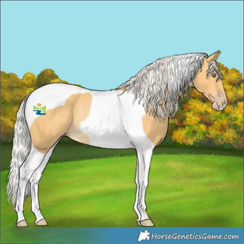Horse Color:Silver Amber Cream Champagne Tobiano Rabicano 