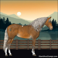 Horse Color:Silver Buckskin Tobiano 