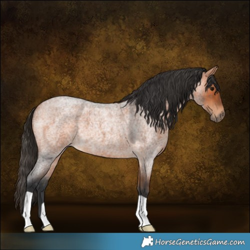 Horse Color:Bay Roan