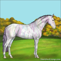 Horse Color:Watercolor White Spotted Bay Ice Tobiano