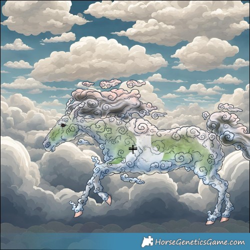 Horse Color:Buckskin Dun Tobiano 