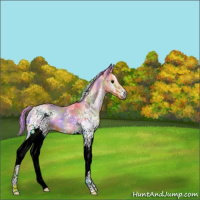 Horse Color:Nacre Watercolor White Spotted Bay Onyx