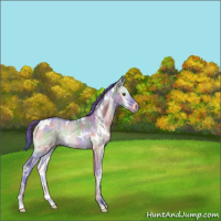 Horse Color:Nacre Watercolor White Spotted Bay Ice Onyx