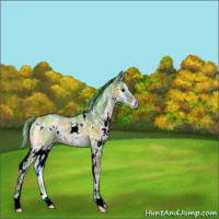 Horse Color:Nacre Watercolor White Spotted Bay Ice Onyx